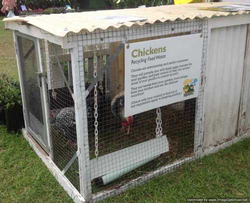 chicken house